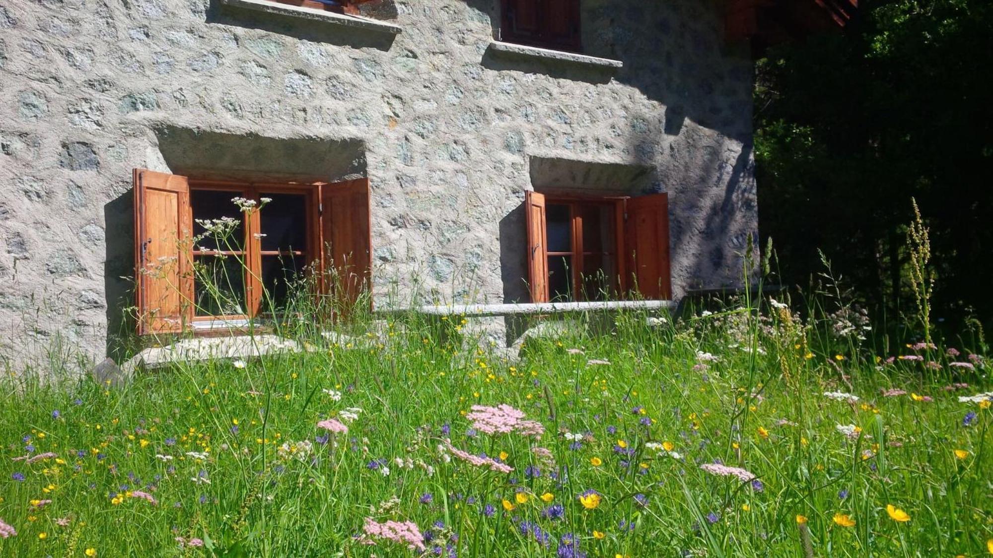 Chalet Gulas - La Punt-Chamues-Ch Exterior foto